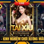 Tài Xỉu Go88 - Kinh Nghiệm Chơi Xương Máu Từ Cao Thủ